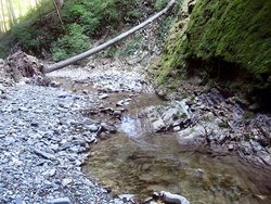 IMG_2620.JPG