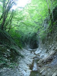 IMG_2630.JPG