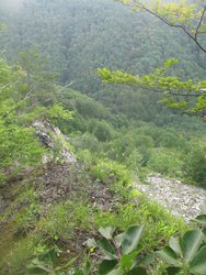 IMG_2636.JPG