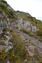 20130815-PhotoByKVS_010.jpg