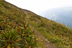 20130815-PhotoByKVS_013.jpg