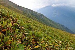 20130815-PhotoByKVS_016.jpg