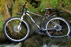 MTB.JPG.jpg