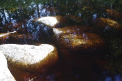 _IGP6932_thumb.jpg