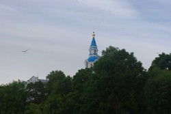 IMGP1069_thumb.jpg
