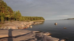 DSC02252_thumb.jpg