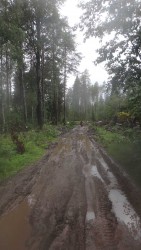 DSC02316_thumb.jpg