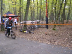 P1010094.JPG