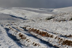 IMG_4691.JPG