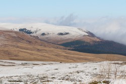 IMG_4830.JPG