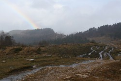 IMG_4510.JPG