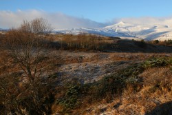 IMG_4614.JPG