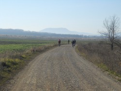 OSCN5667.JPG