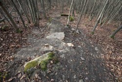 IMG_4183_.jpg