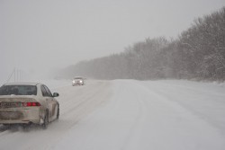 IMG_9720.jpg