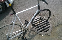 WP_20140405_0011.jpg