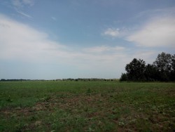 2014608134214.jpg