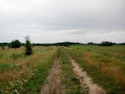 2014608135831 - копия - копия - копия.jpg