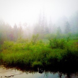 10537919_688421701213008_828131875_n.jpg