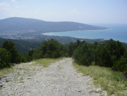 PB190238.JPG