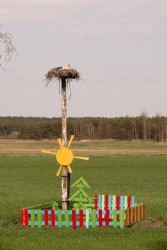 DSC07626.jpg