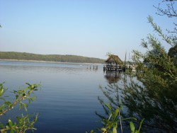 DSC01125.JPG