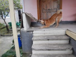 DSCN0927.JPG