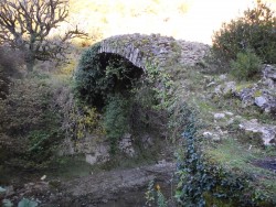 DSCN1136.JPG