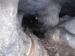 DSCN1175.JPG