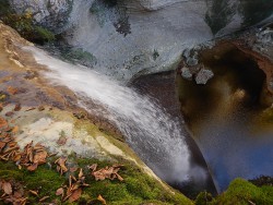 DSCN1202.JPG
