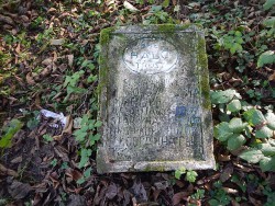 DSCN1220.JPG