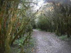 DSCN1296.JPG
