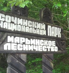 знак Марьинское лесничество.jpg