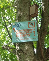 не разводите костры в лесу!.jpg