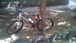 DSC00114.jpg