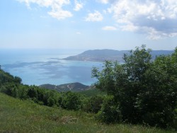 P1010127.JPG