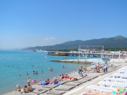 P1010031.JPG