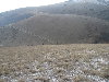 IMG_2695.jpg