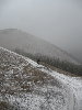 IMG_2682.jpg