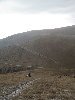 IMG_2687.jpg