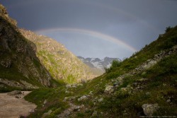 IMG_4952_1.jpg