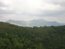 18 Папайский вид.JPG