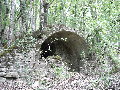 DSCN0376.JPG