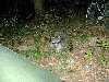 DSC005790.jpg