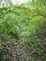 DSCN0388.JPG