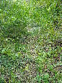DSCN0391.JPG