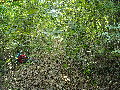 DSCN0396.JPG