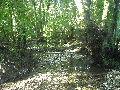 DSCN0398.JPG