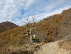 IMG_5504-min.JPG