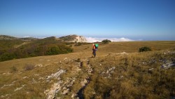 WP_20151004_002-min.jpg